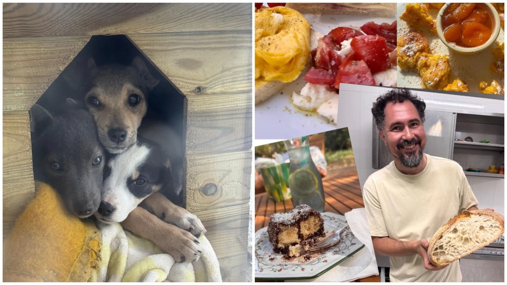 ofertă inedită restaurant - Imagine ilustrativă