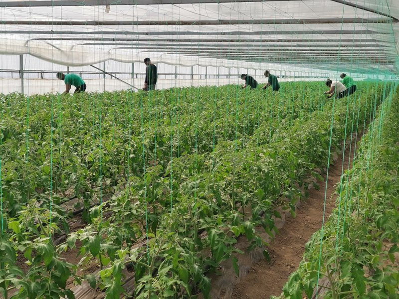 fermierii buni plată - Imagine ilustrativă