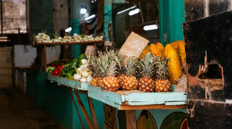 economia Cuba GAESA
