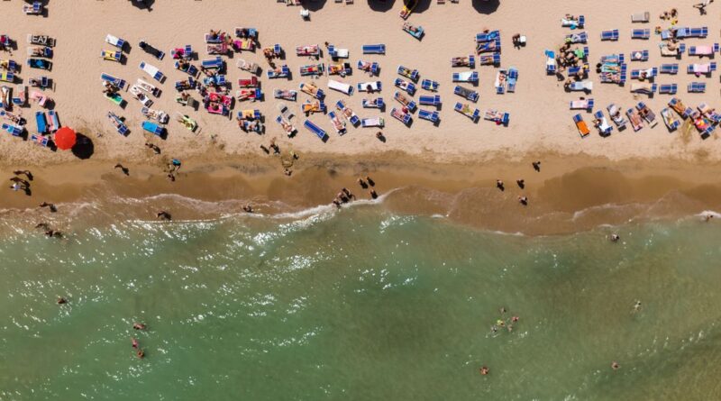 canicule impact economic