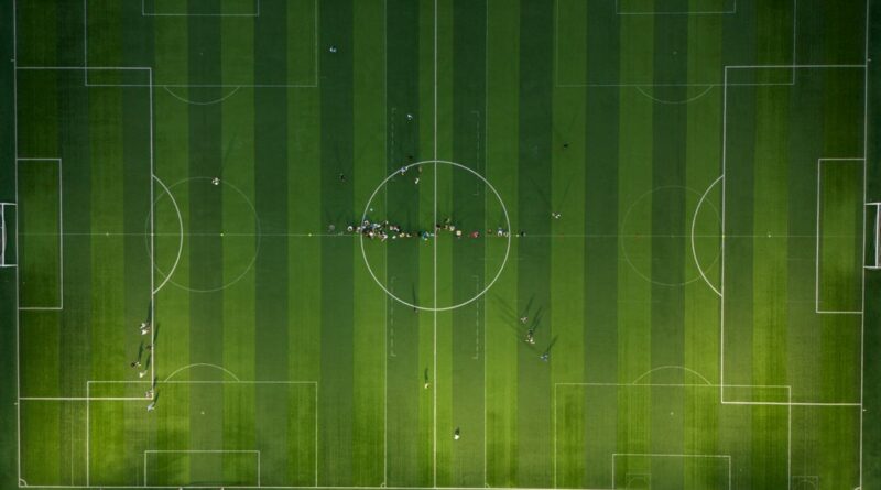 privatizare FIFA investitori