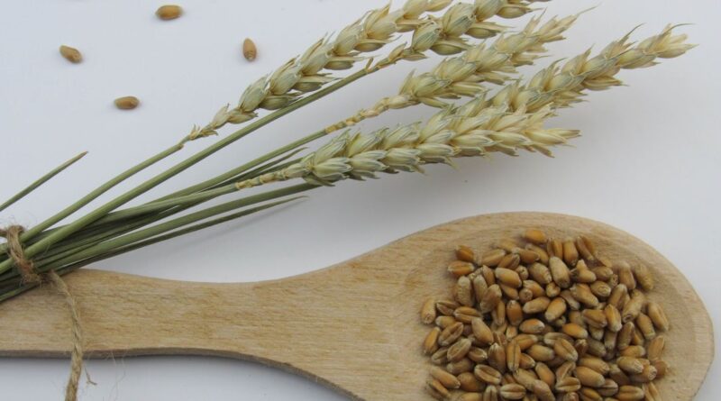 criza cerealelor Marea Neagră
