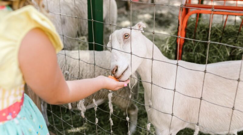 alertă sanitară grădini zoo
