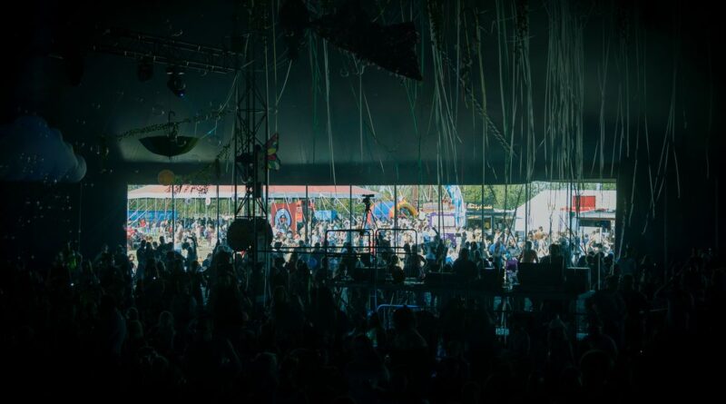 economie festival Romania